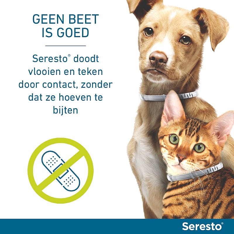 dieren, kat, hond, kattebandage, seresto