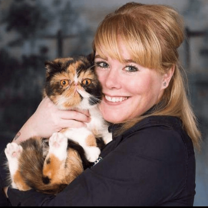 Hoe Sally haar lieve poes Amber verloor aan kanker