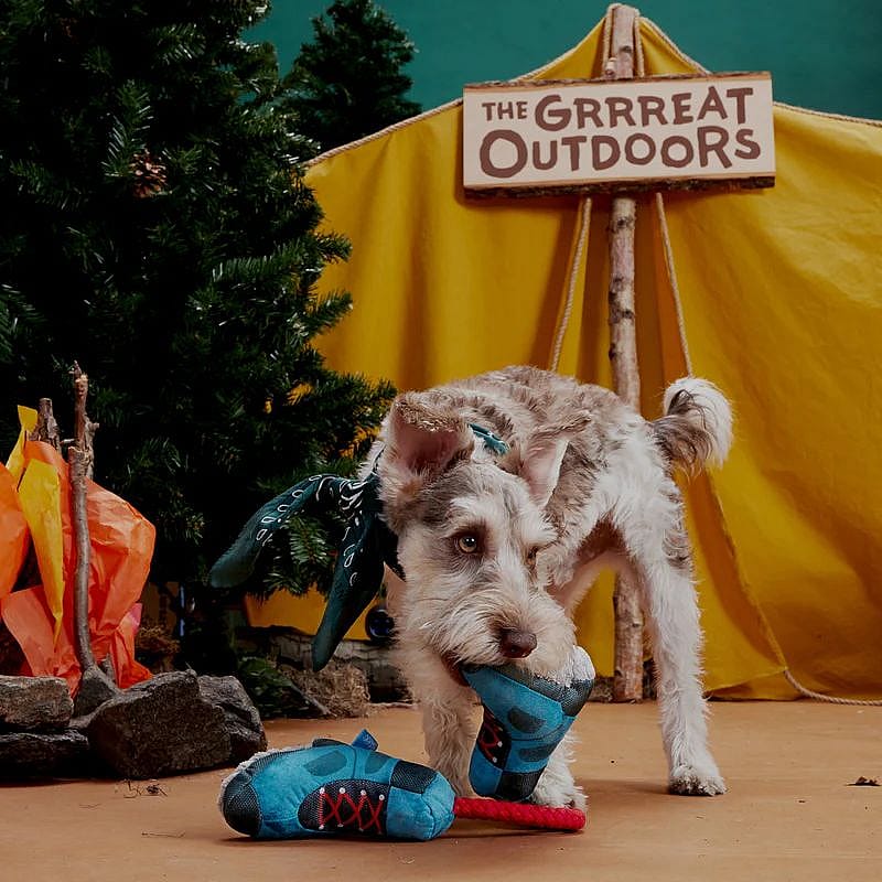 hond, speelgoed, bandana, touwspeelgoed, tent