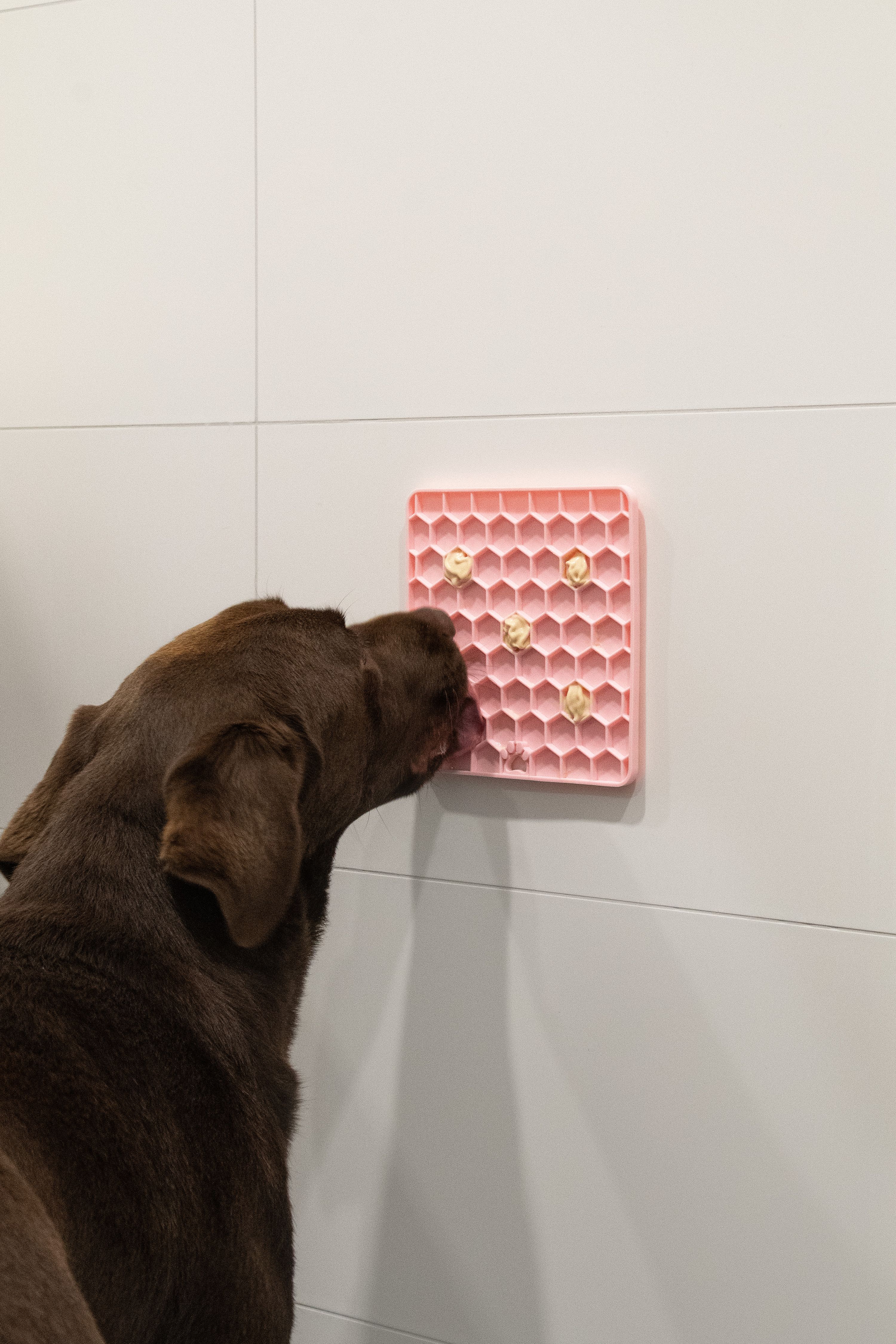 Eat Slow Live Longer Honeycomb Lick Mat