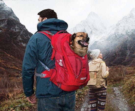 Kurgo G-Train Pack Rugzak Hond Chili Red