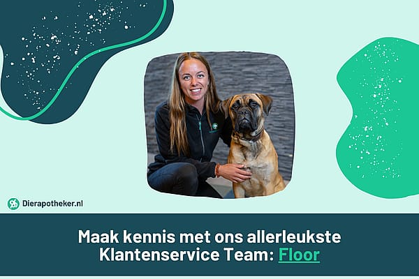 Paraveterinair Floor neemt haar hond graag mee op avontuurlijke roadtrips