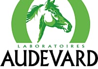 groen, Logo, groen, Logo