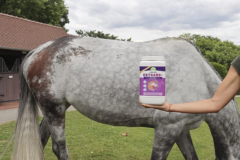 Audevard Ekygard+ Maag Stress Paard