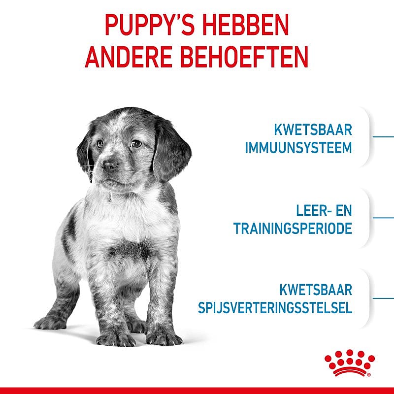 Royal Canin Puppy Medium 10 kg