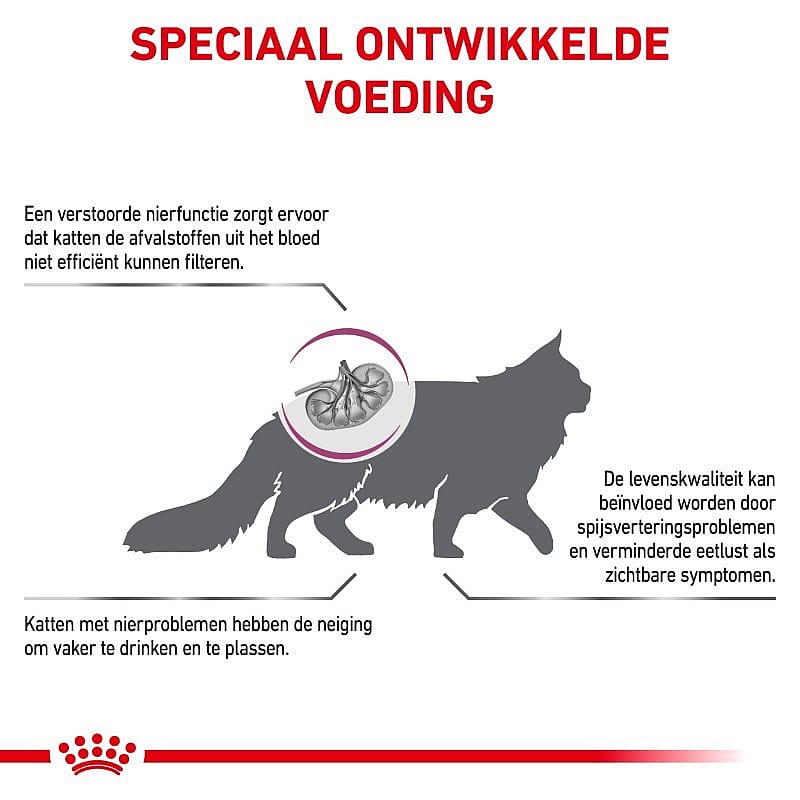 Royal Canin Renal Kat 4 kg