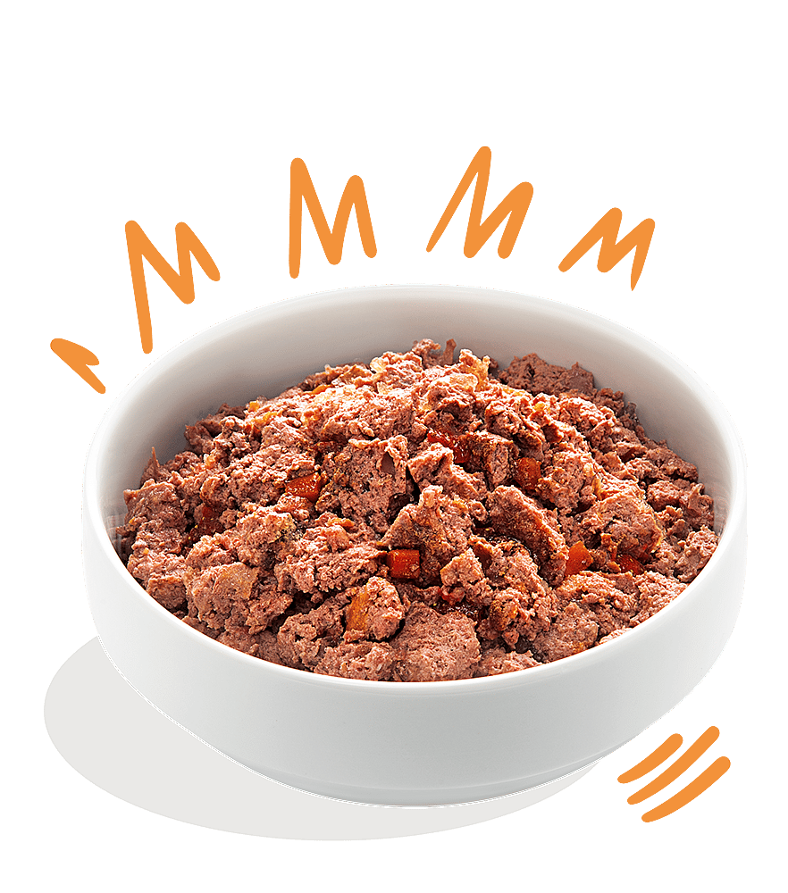 Edgard & Cooper Adult Hondenvoer Blikjes Kip & Kalkoen 6 x 400 gram