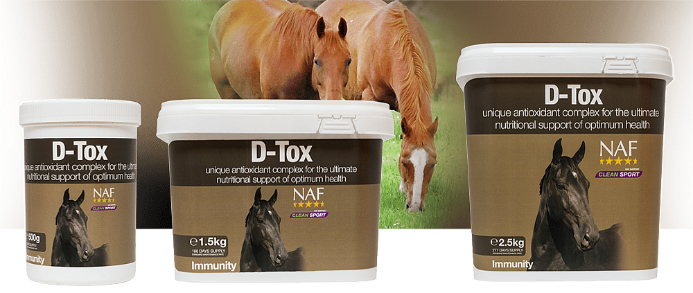 NAF D-Tox – Voor weerstand en afvoer van afvalstoffen bij paarden 1.5 kg