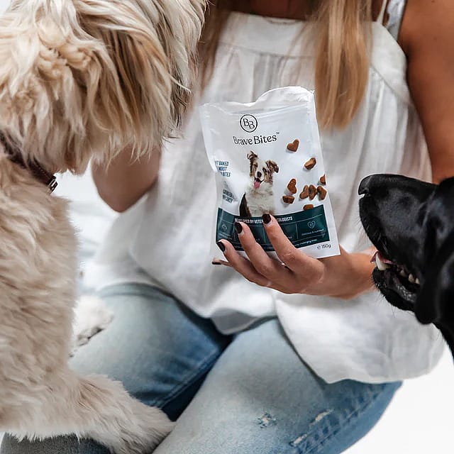 Brave Bites Koekjes Kanker Hond 150 gram