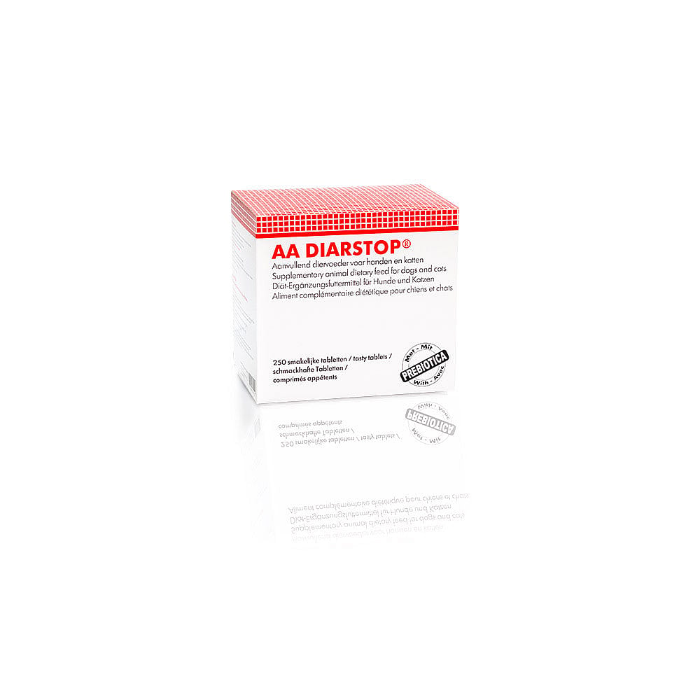AA Diarstop 250 tabletten