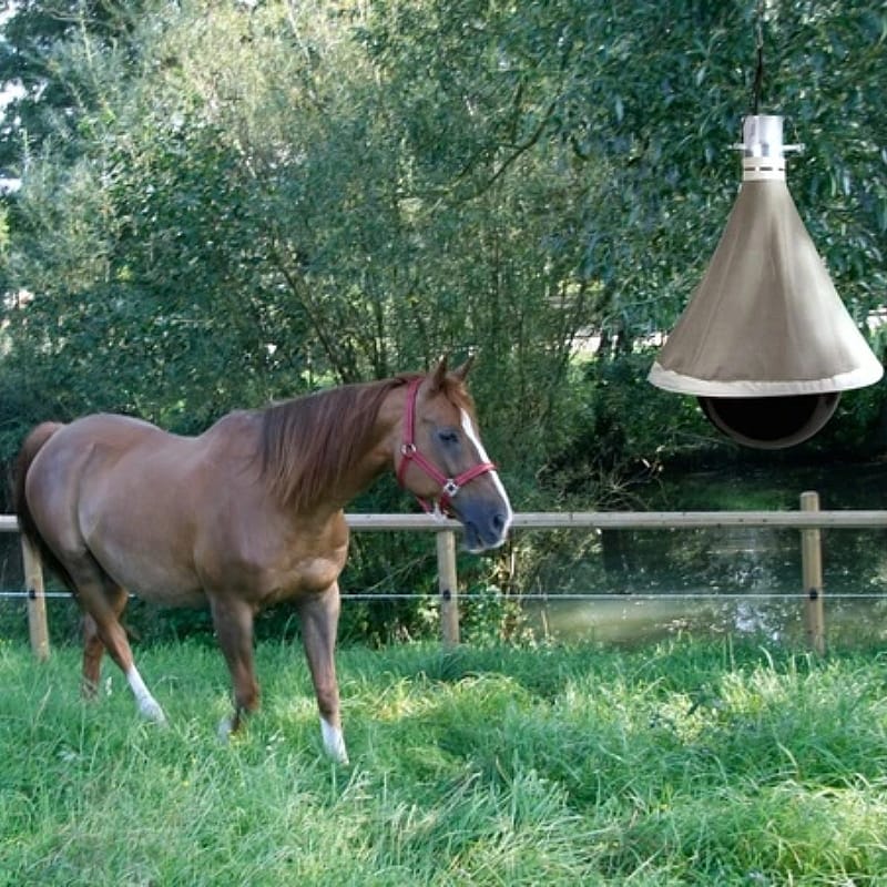 Dazenval TAON-X Eco Compleet