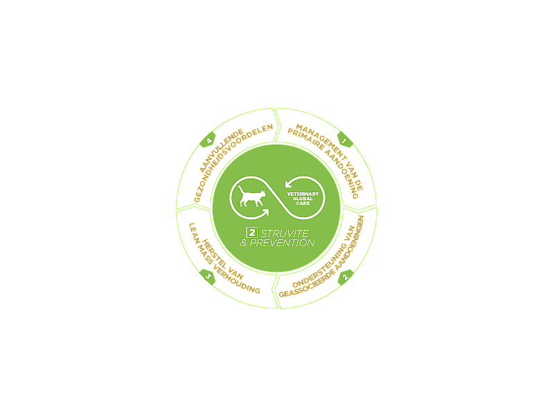 HPM Cat Urology Dissolution & Prevention - Struvite & Oxalate Crystals 12 x 85 gram