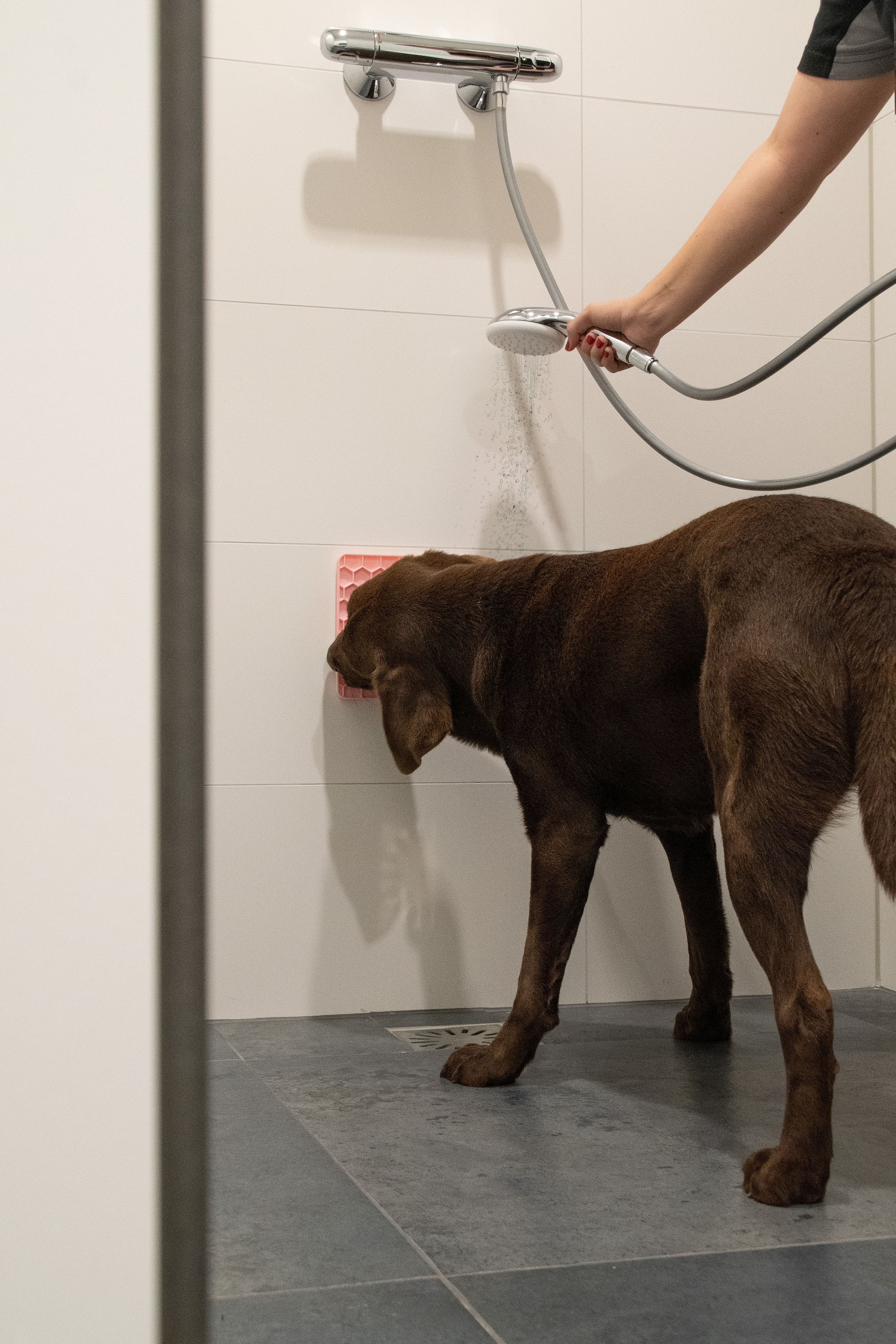 Eat Slow Live Longer Honeycomb Lick Mat