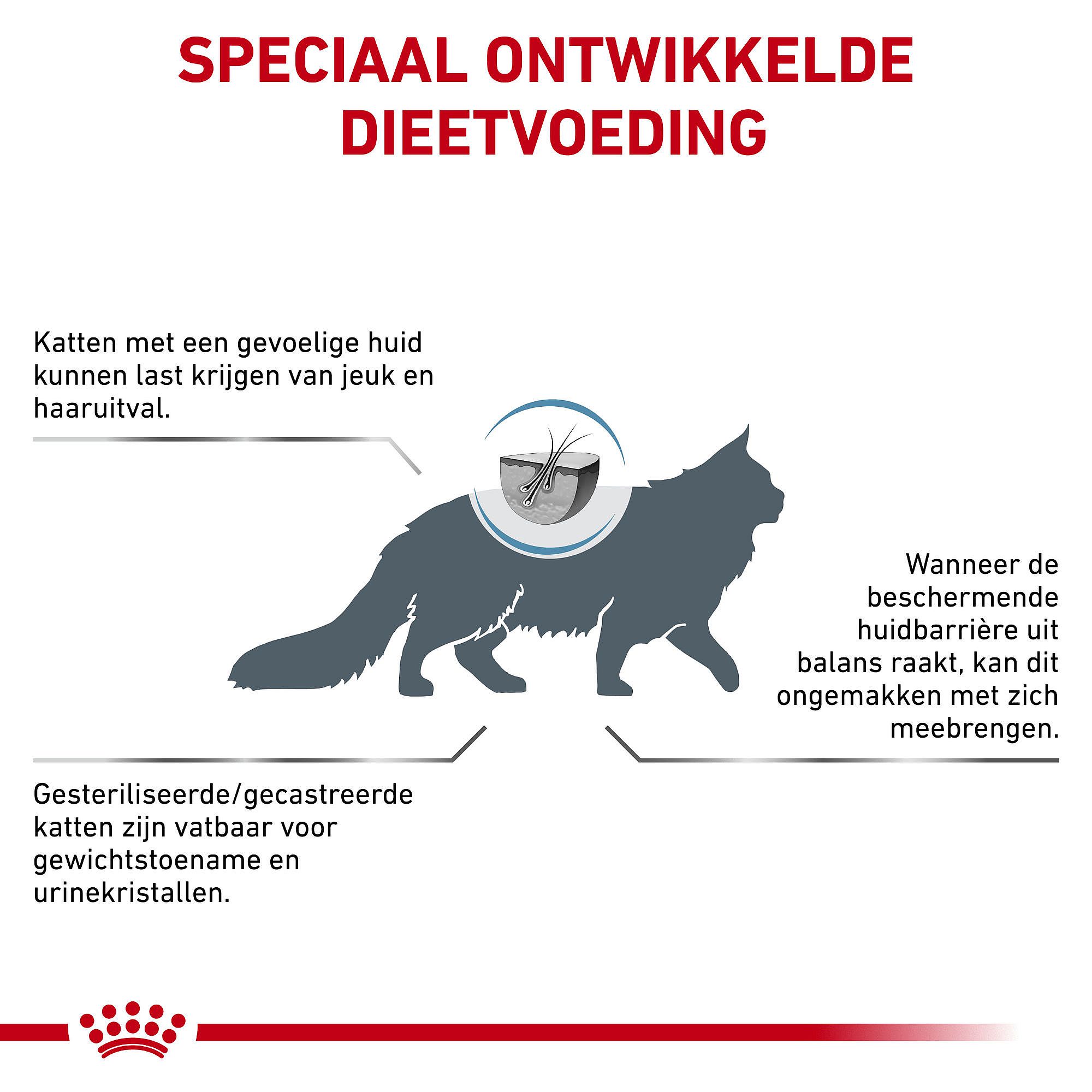 Royal Canin Skin & Coat Kat 3.5 kg