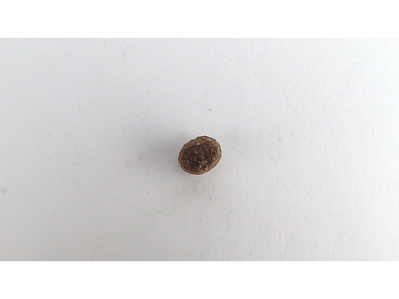 Calibra Hond Life Adult Small Breed Chicken