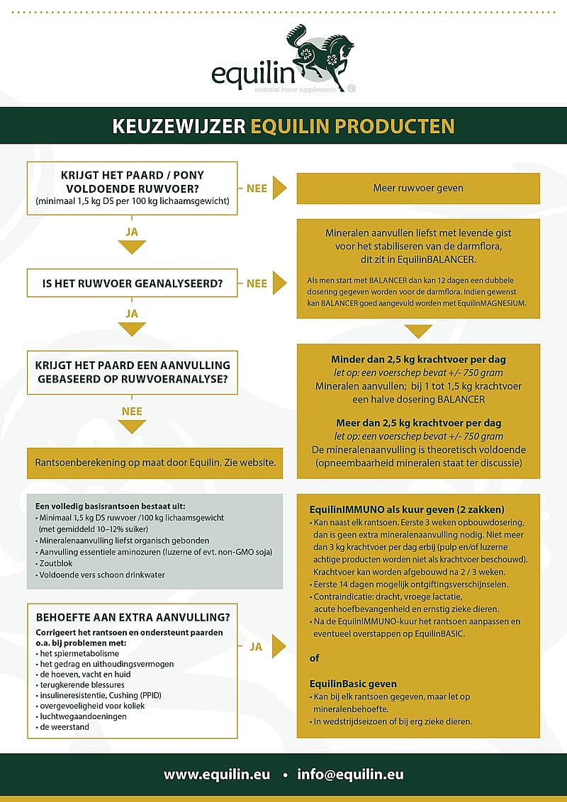 Equilin Recover Electrolytendrank Paard