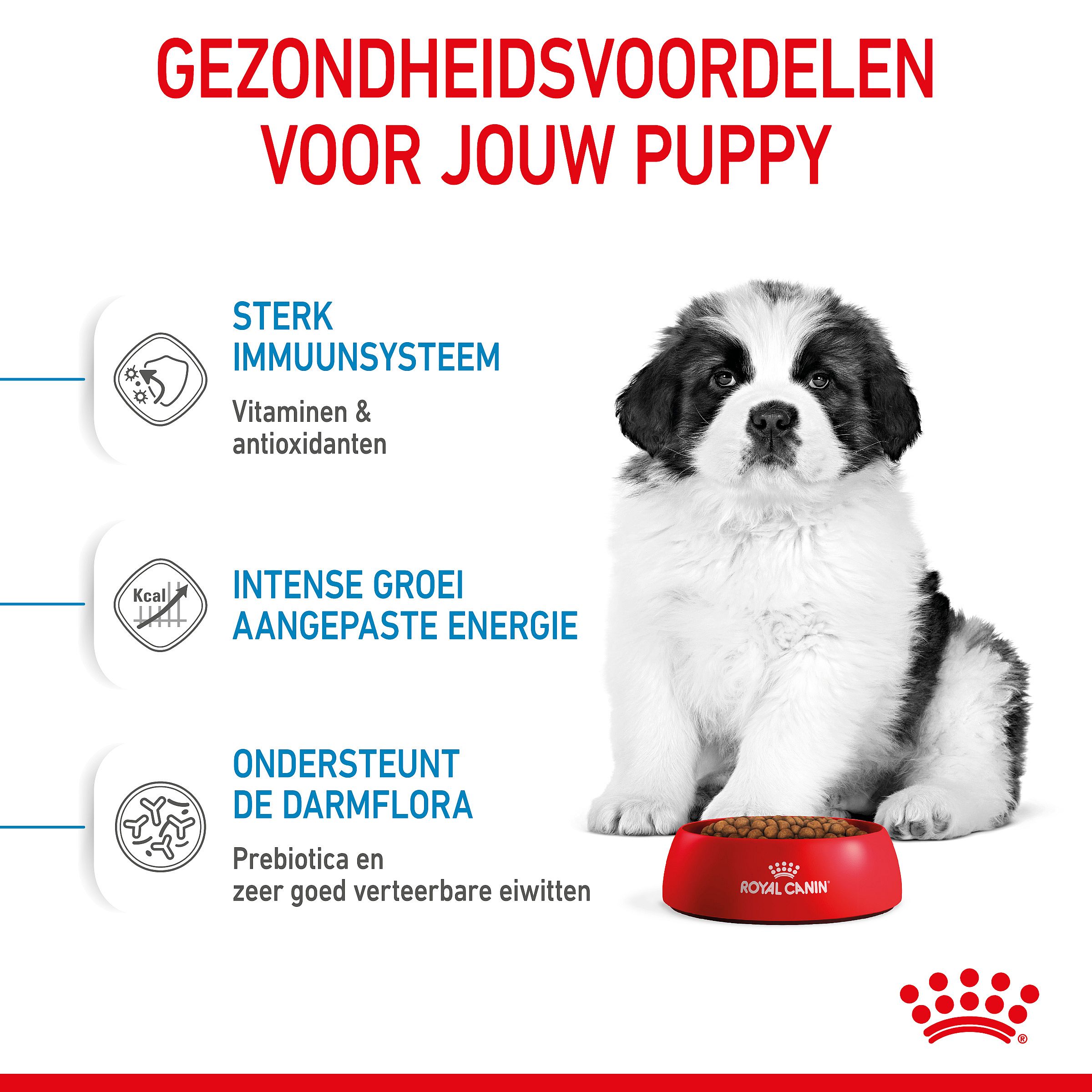 Royal Canin Puppy Giant 15 kg