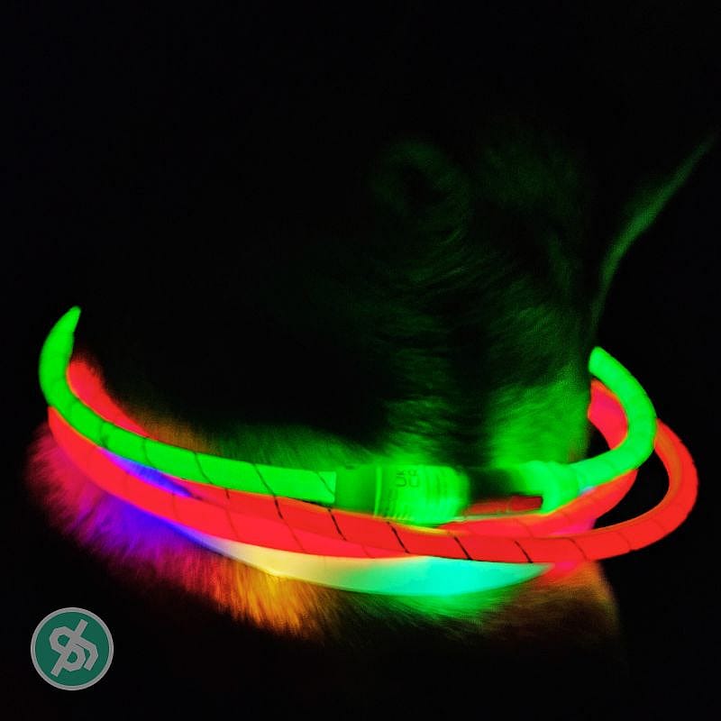 Trixie Flash Lichtgevende Halsband USB Hond
