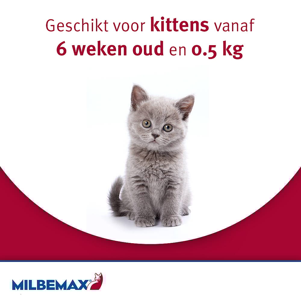 Milbemax Grote Kat Ontwormingstabletten 4 tabletten