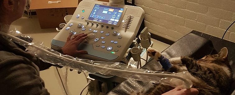 388be5a2014abef534742a3f58b94138