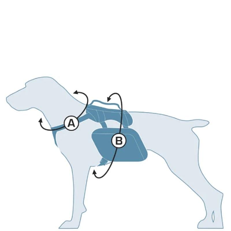 Kurgo Baxter Backpack Chili/Barn Red