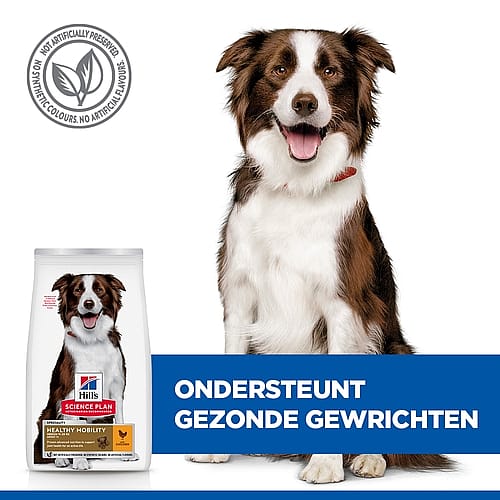 Hill's Science Plan Healthy Mobility Adult Hondenvoer Kip 14 kg - Medium breed