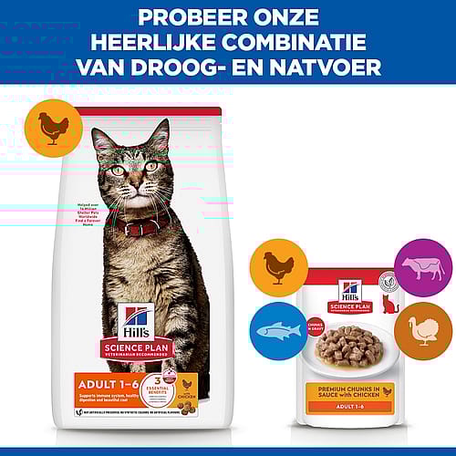 kat, kattenvoer, droogvoer, kattenschijfjes, science-plan