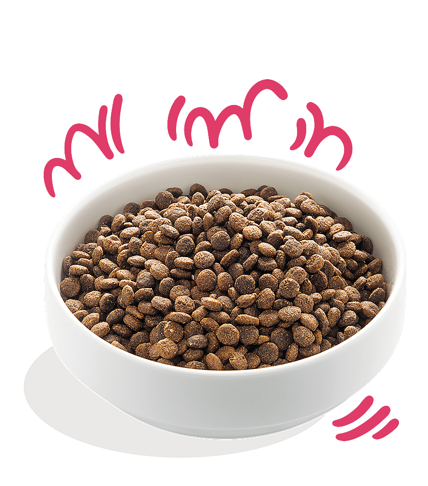 Edgard & Cooper Adult Hondenvoer Biologisch Vers Rund en Verse Kip 700 gram