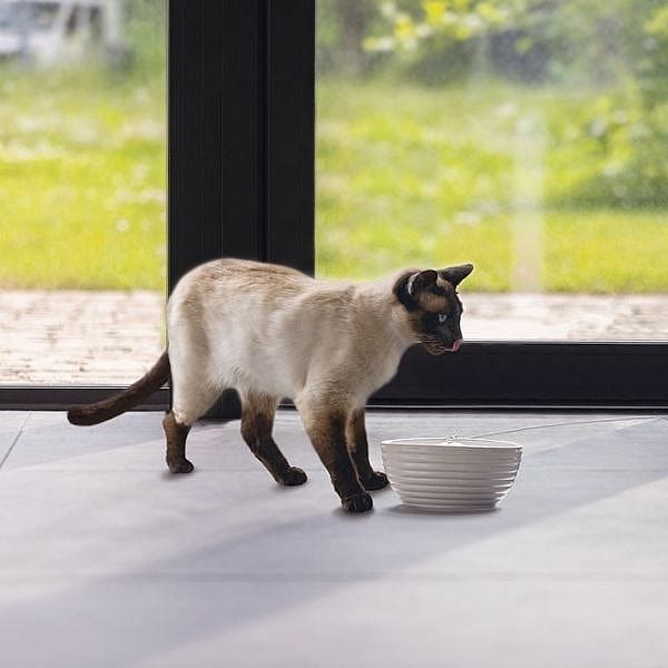 Beeztees Keramieke Drinkfontein Jaap Kat