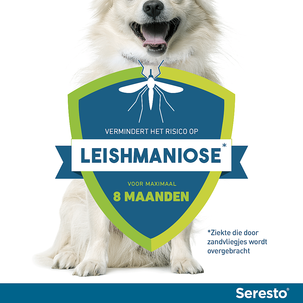 Seresto Halsband Hond: Vlooien en Teken Bescherming - 7 tot 8 maanden - Geurloos & Waterbestendig