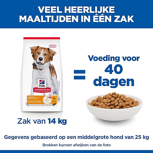 motor, dogvoer maar