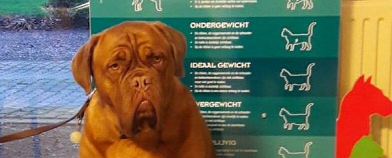 eb8a98f12a8a639d5bf5d61068c210a5