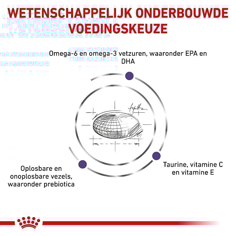 Royal Canin Adult Medium Dog 4 kg