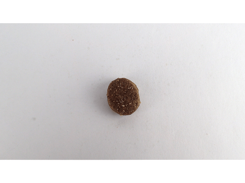 Calibra Hond Life Senior Medium and Large Breed Chicken