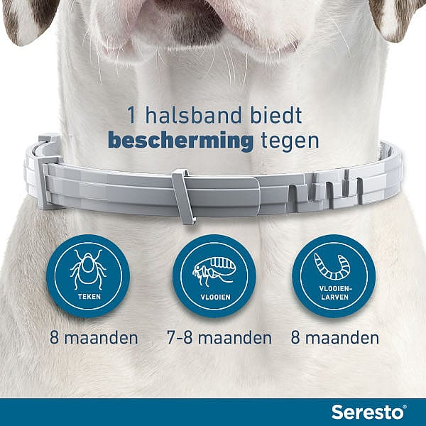 Seresto Halsband Hond: Vlooien en Teken Bescherming - 7 tot 8 maanden - Geurloos & Waterbestendig