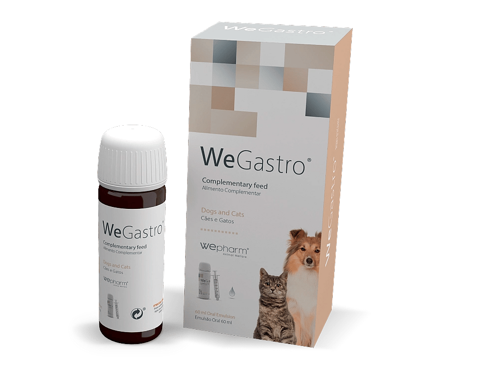 Wepharm Wegastro Hond Kat 60 ml