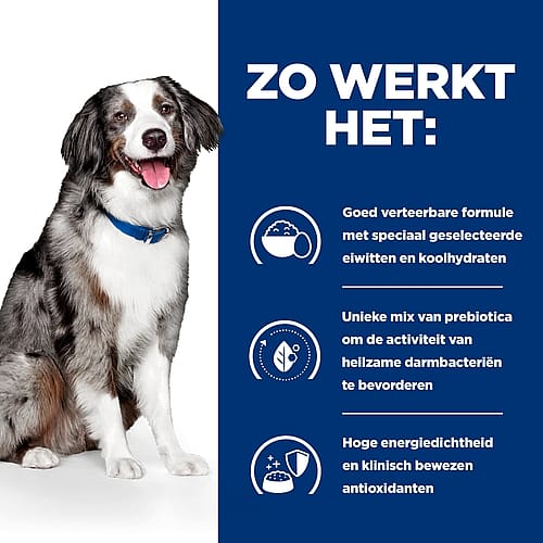 Hill's Prescription Diet ID Sensitive Digestive Care Hondenvoer Ei & Rijst