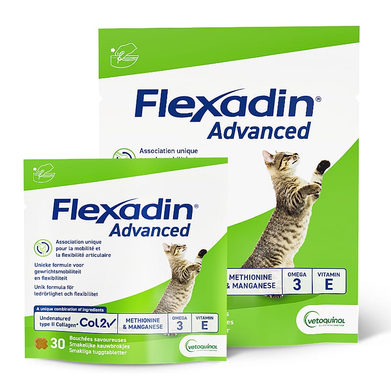 kattenvoer, voeding, draagbaar, gemengde vitamines, omega-3