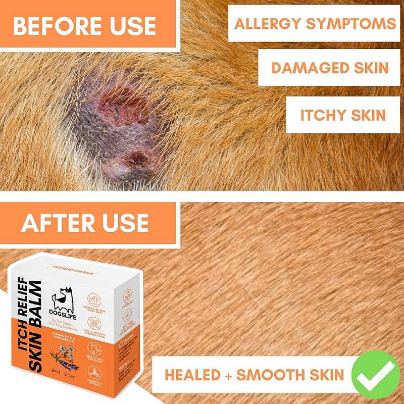 DogsLife Itch Relief Skin Balm Hond 60 ml