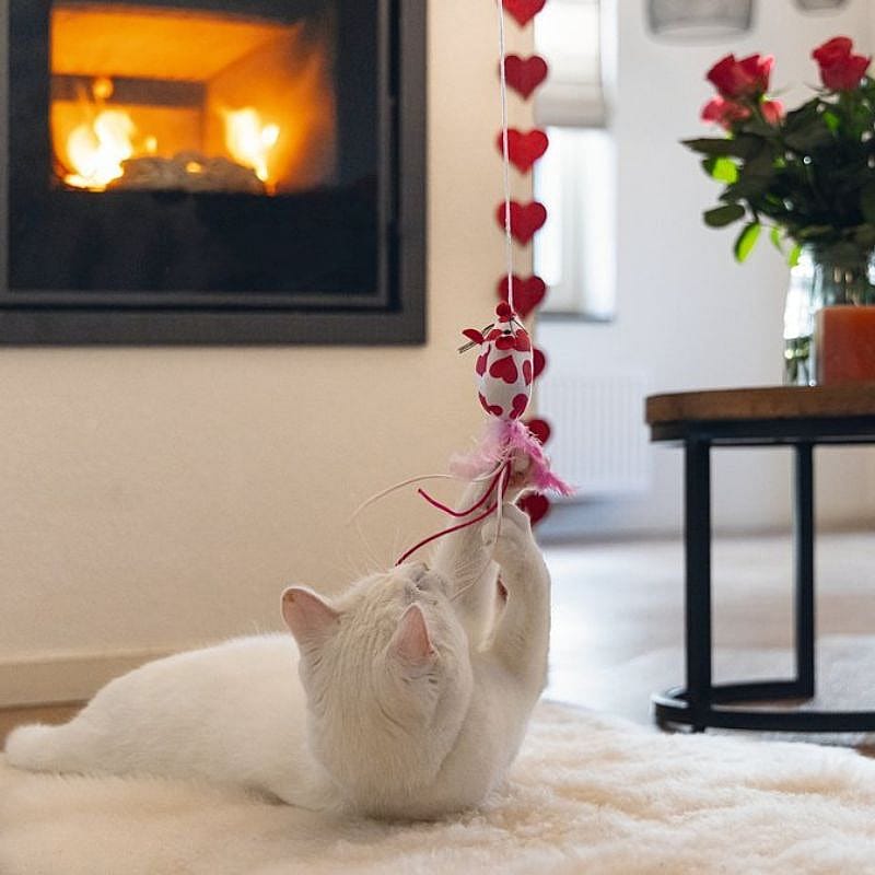 Beeztees Valentijn Kattenspeelgoed Kattenhengel Muis Kat