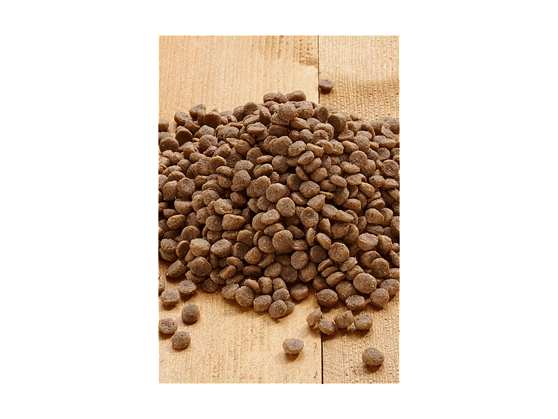 Vet-Concept Senior Kattenvoer