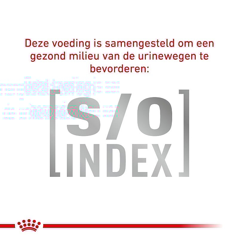 Royal Canin Skin Care Small Dog