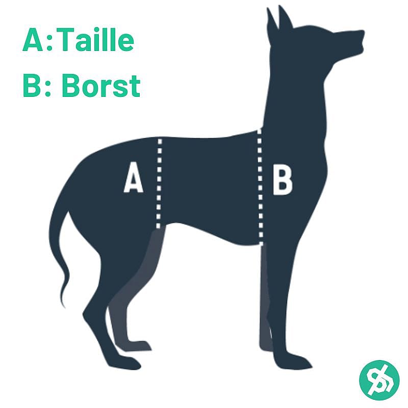 Petsafe Carelift Support Harness Maat Large