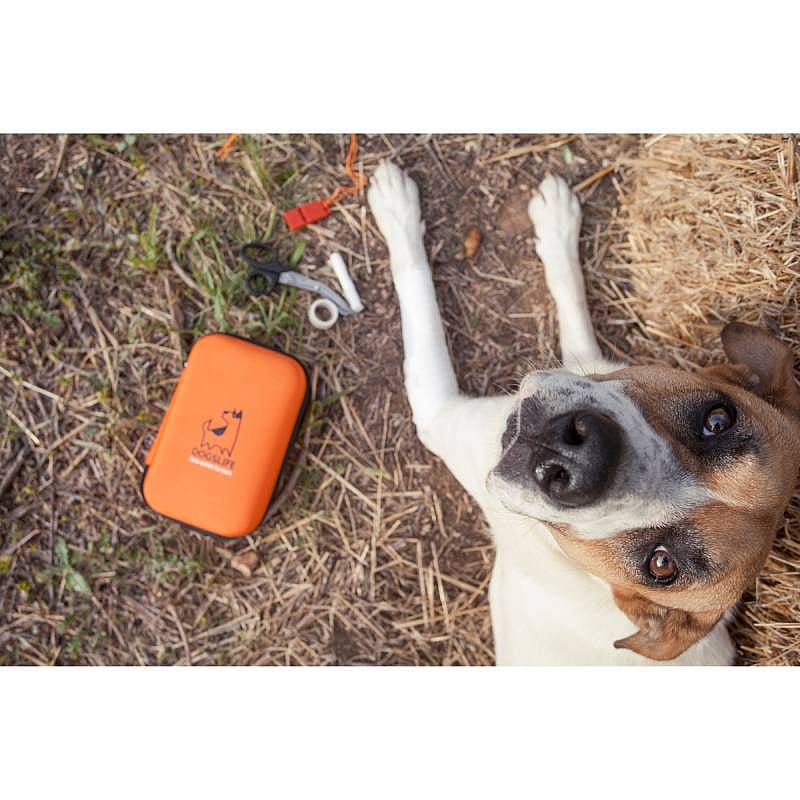 DogsLife Emergency Kit Hond