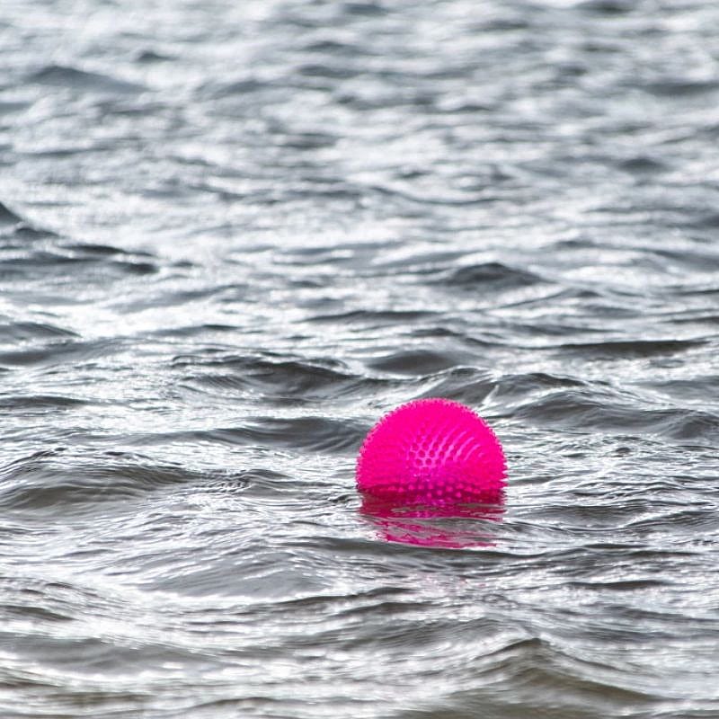 Dog Comets Exoplanet Egelbal Hond Roze S