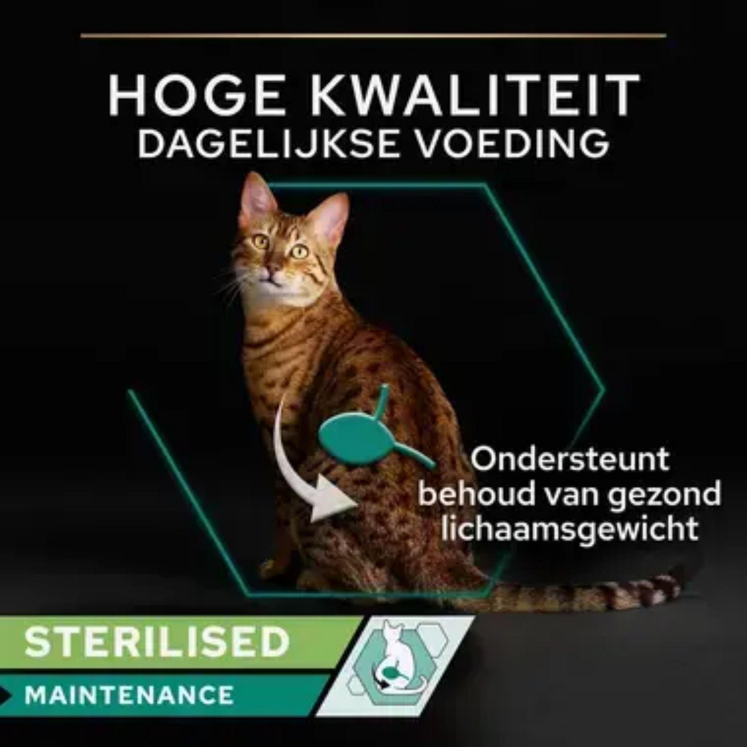 Purina Pro Plan Sterilised Adult Zalm en Tonijn Kat 24 x 85 gram