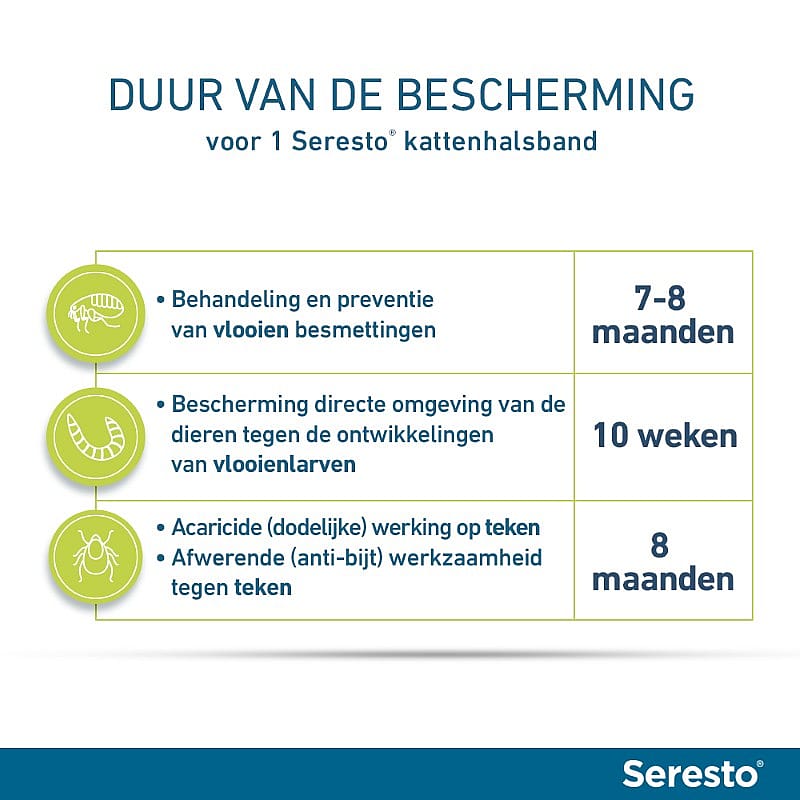 kat, gete, form, kleding, seresto