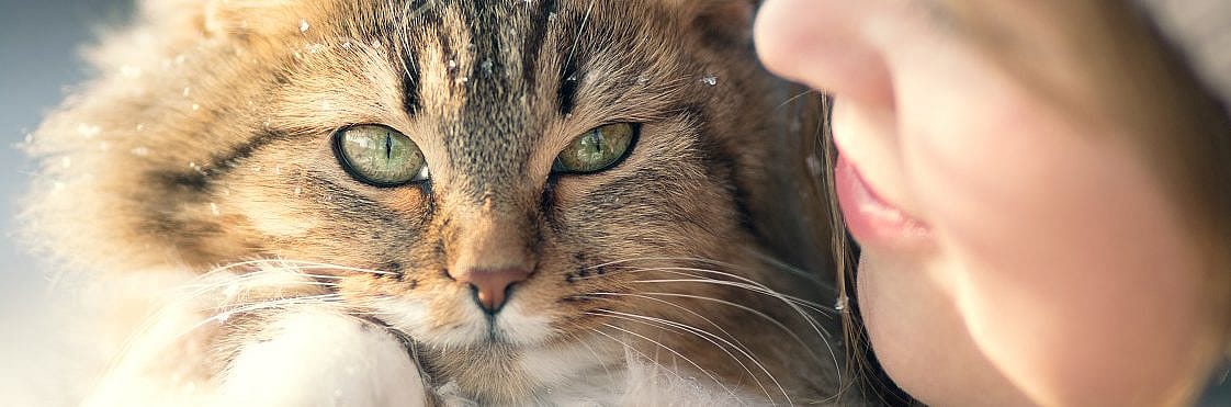 910b959b61a4b3ee86df31a5d65b6092