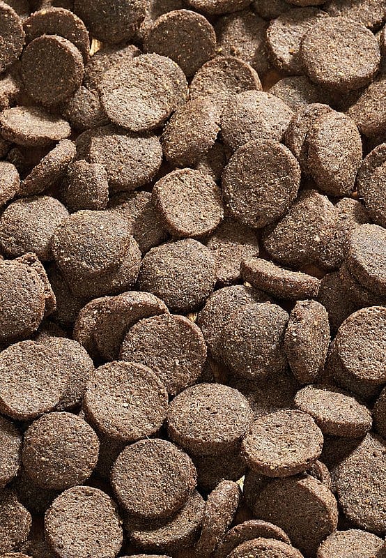 Vet-Concept Sensitive Pack Hondenvoer