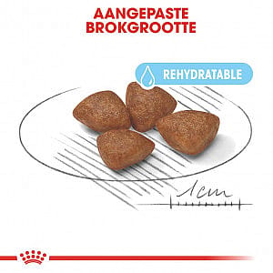 Royal Canin Starter Mini Hond